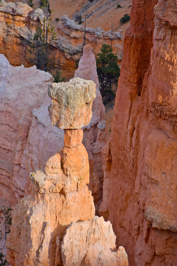 20-bryce-canyoon-tho#C99B05