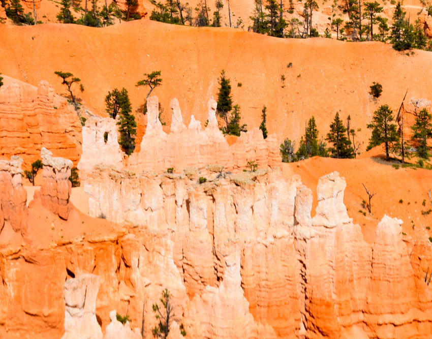 21-bryce-canyon-hood#C99B01