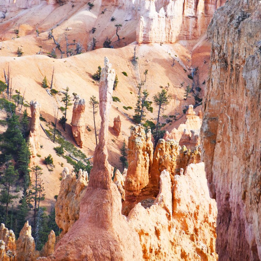 22-bryce-canyon-sent#C99B02