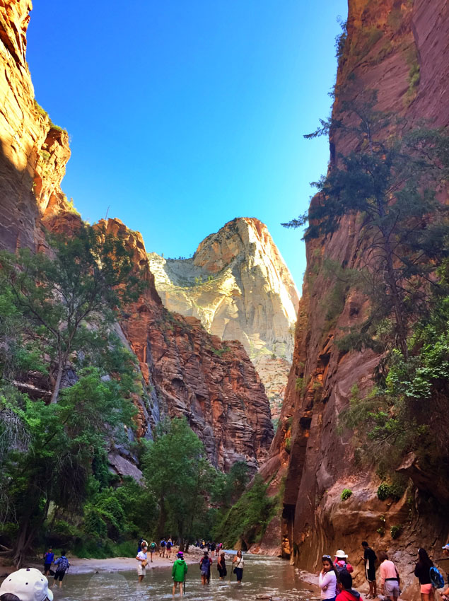 28-zion-canyon-1305