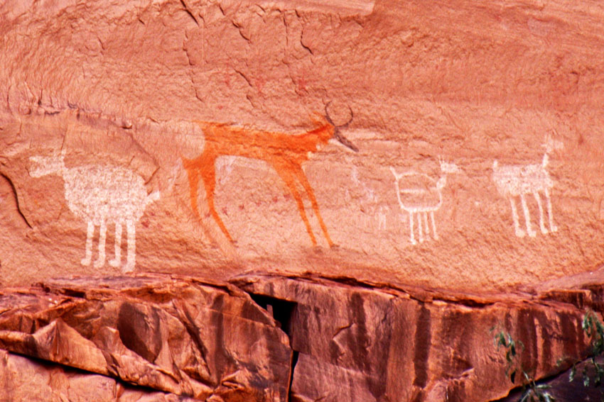 73-canyon-de-chelly-#C99B07