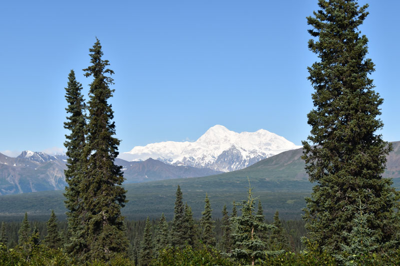 0809-mt-denali-1035