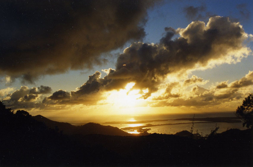 climbing-the-tv-tran#E068A0