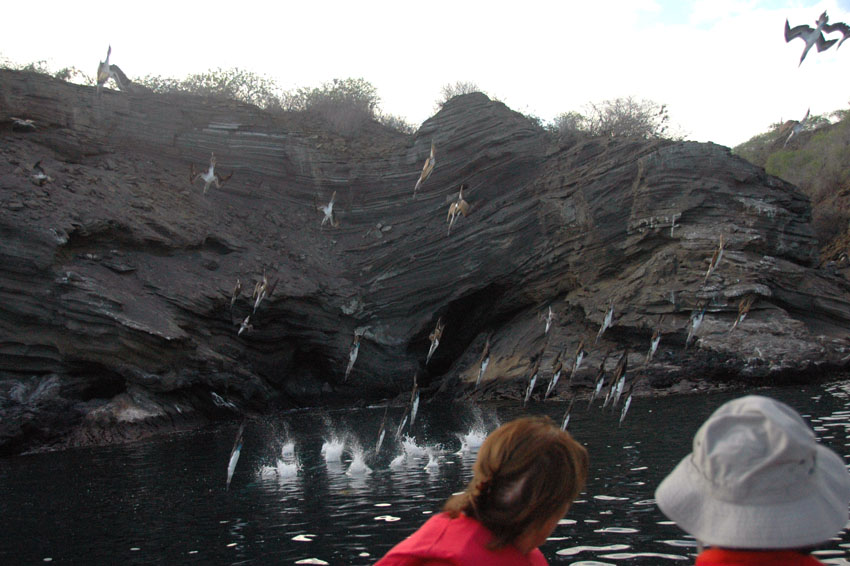 diving-attack-and-an#E068BE