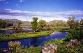 new-fork-river-near-#E068BD