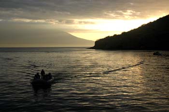 returning-to-the-mv-#E068E9